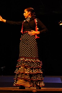 Dans Flamenco en Andalousie (Granada)